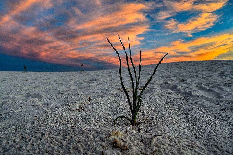 Unique Perspective of a Sunset at White Sands, New Mexico  Photograph by Chance Kafka