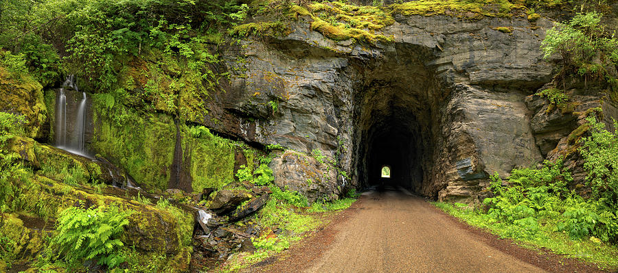 Nature Photograph - Unique Tunnel Drive by Leland D Howard