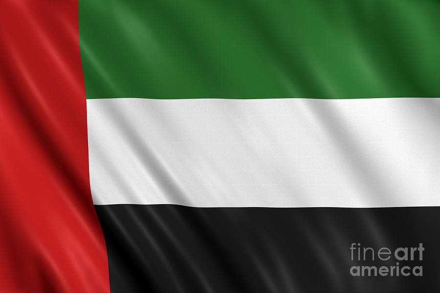 United Arab Emirates Flag Photograph by Visual7