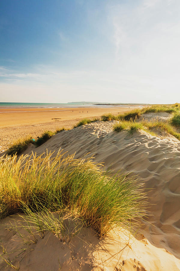 United Kingdom, England, East Sussex, Great Britain, British Isles, Sand Dunes At Camber Sands Near Rye At Sunset Digital Art by Maurizio Rellini