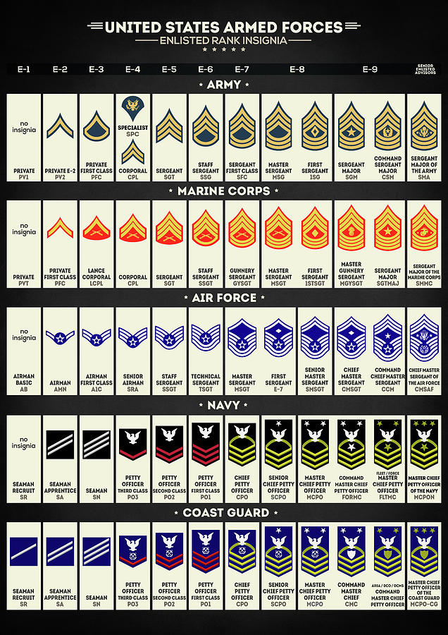 And army us rank insignia Rank insignia