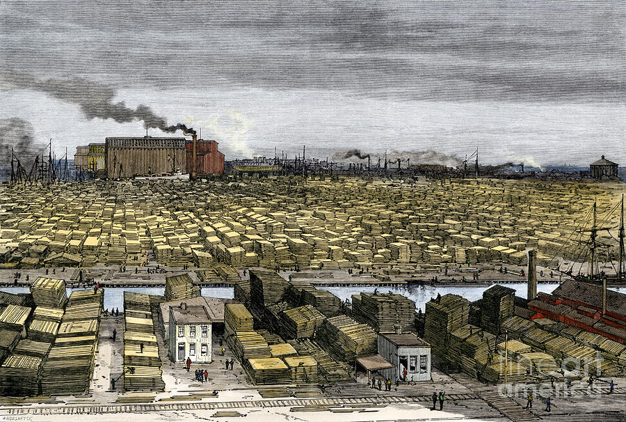 United States, Illinois Chicago District Sawmill, Years 1880 Colour Engraving Of The 19th Century Drawing by American School