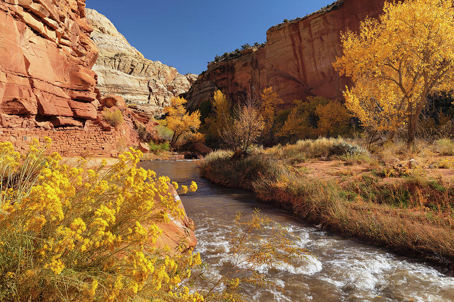 United States, Utah, Capitol Reef National Park, Colorado Plateau, Fremont River In The Fall Digital Art by Markus Lange