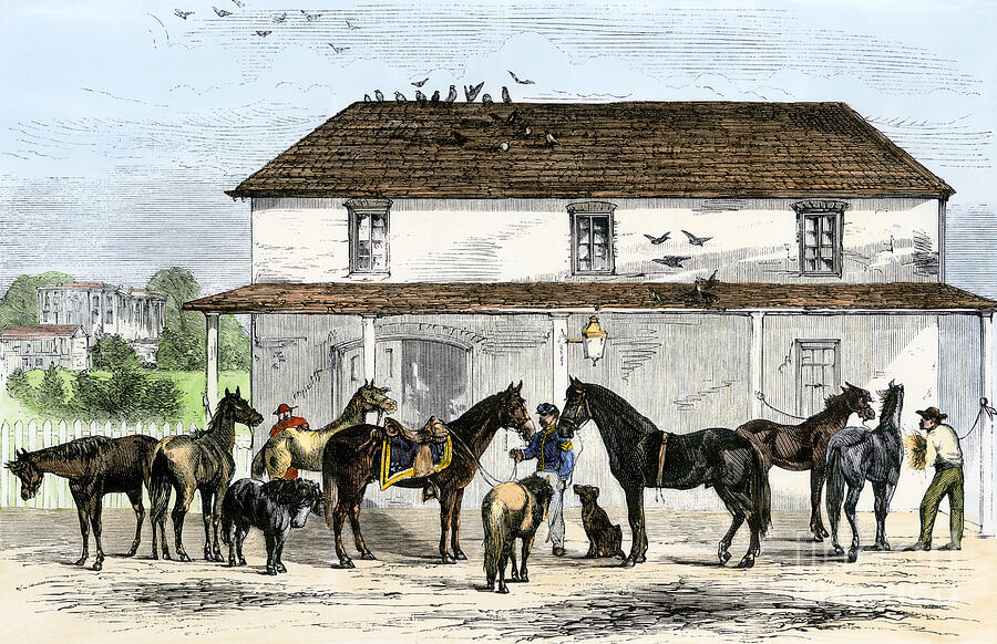 Horse Drawing - United States, Washington, Dc White House Stables With President Grants Horses And His Familys Pony, 1869 Colour Engraving Of The 19th Century by American School