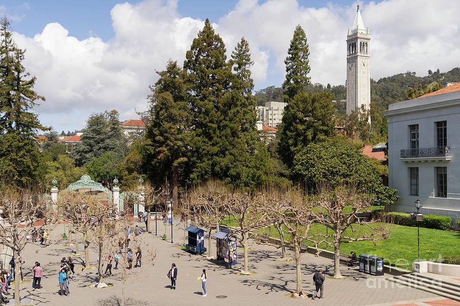 University of California at Berkeley Sproul Plaza Sather Gate and Sather Tower Campanile DSC6224 Photograph by Wingsdomain Art and Photography