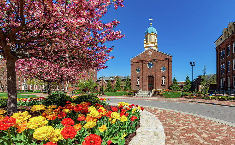 University Of Dayton Chapel Of The Immaculate Conception No. 2 ...