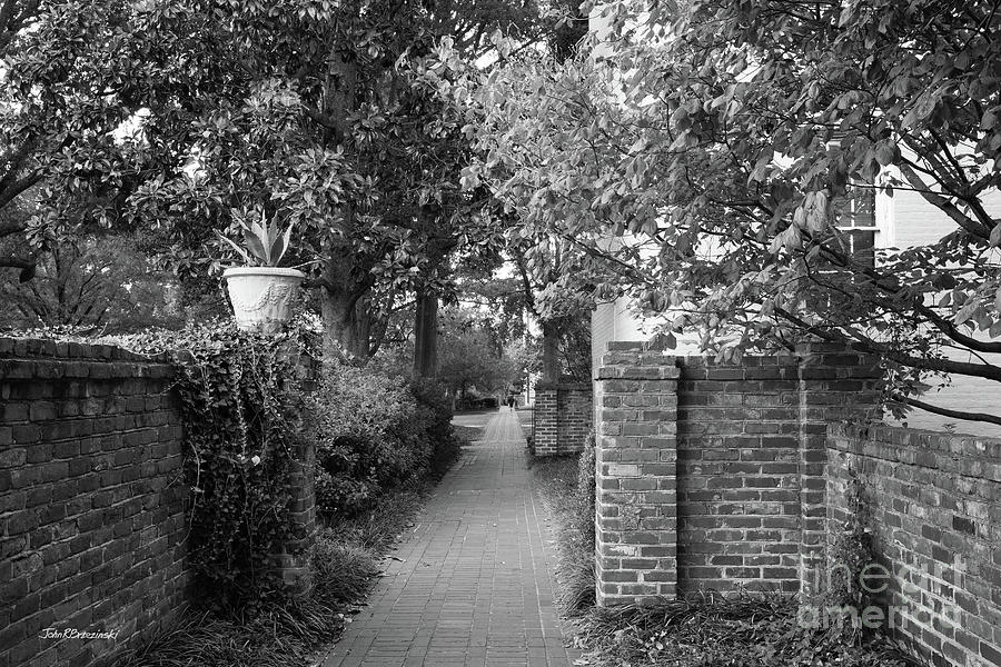 University Of South Carolina Photograph - University of South Carolina Landscaped Walkway by University Icons