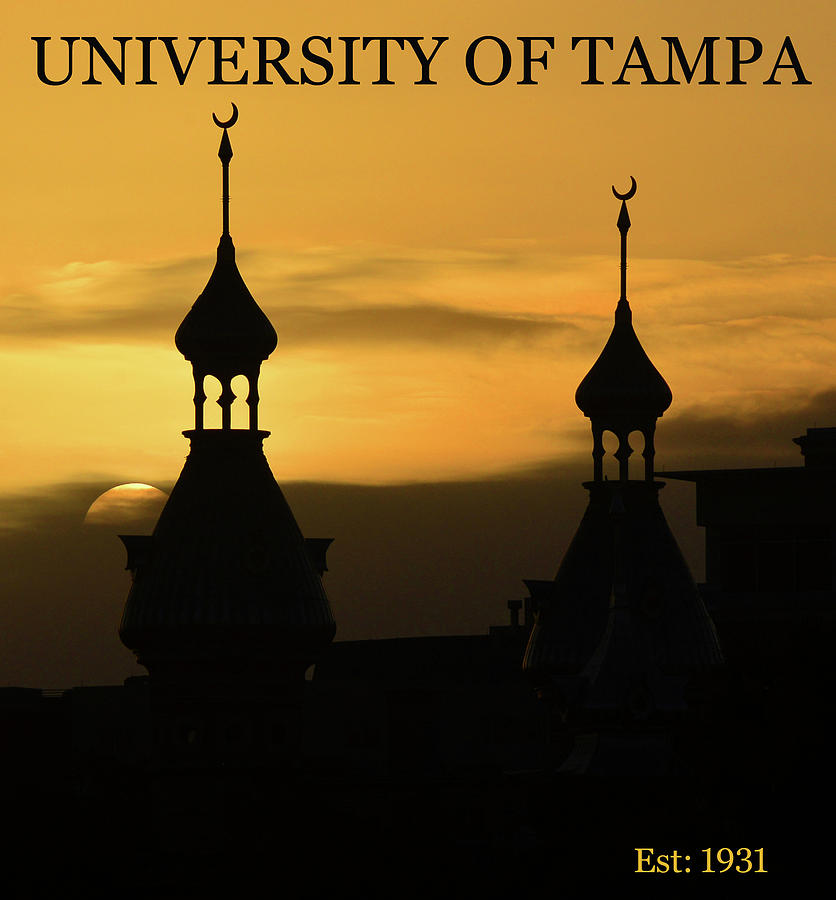 University of Tampa poster A Photograph by David Lee Thompson