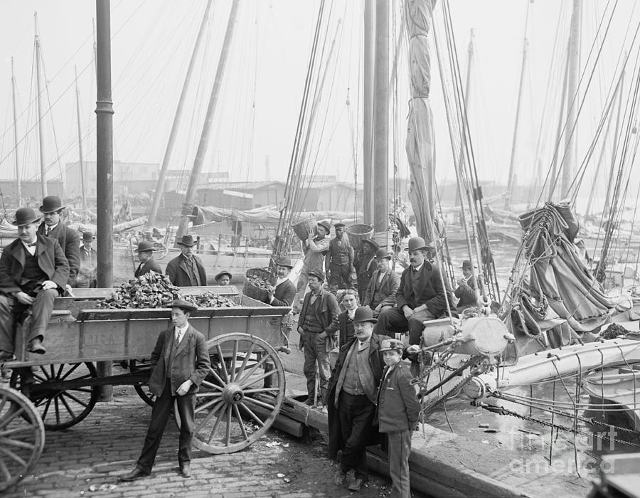 Unloading Oyster Luggers, Baltimore, Maryland, 1905 (b/w Photo ...