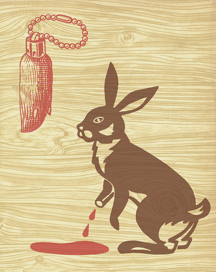 Vintage Drawing - Unlucky Rabbits Foot by CSA Images