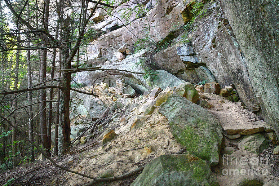 Unnamed Rock Face 2 Photograph by Phil Perkins