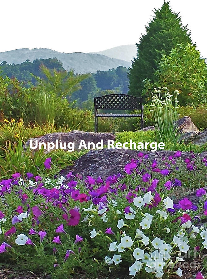 Unplug And Recharge Poster Photograph by Sharon Williams Eng