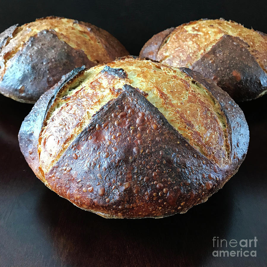 Unprocessed Wheat Bran Sourdough With Honey - Cross And Spiral Set 2 Photograph by Amy E Fraser
