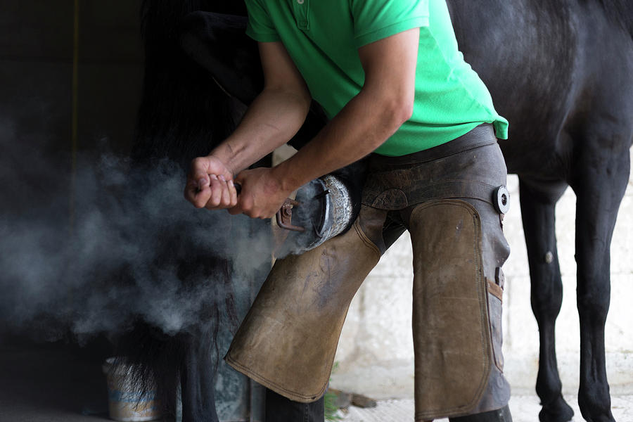 Tool Photograph - Unrecognisable Farrier Place Hot Horseshoe On Horses Hoof by Cavan Images