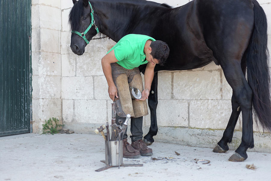 Tool Photograph - Unrecognisable Young Farrier Bending Down Horse Shoe by Cavan Images