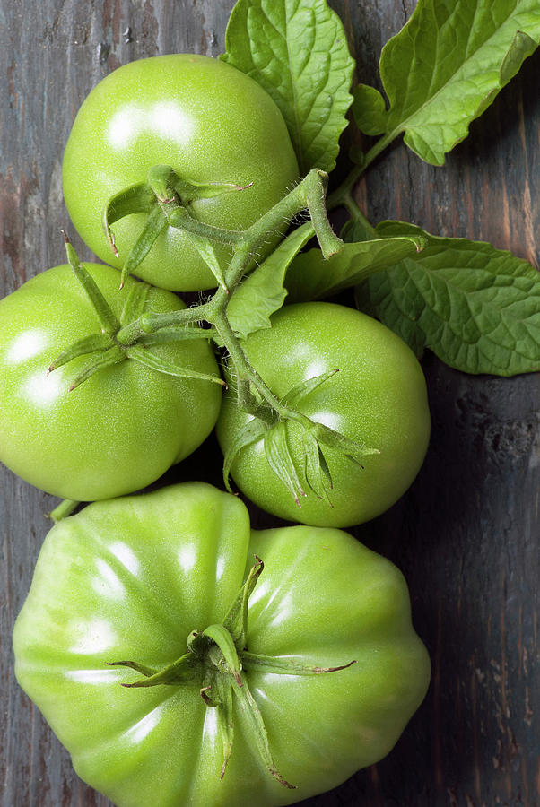 Unripened Green Tomatoes Photograph by Spyros Bourboulis - Fine Art America