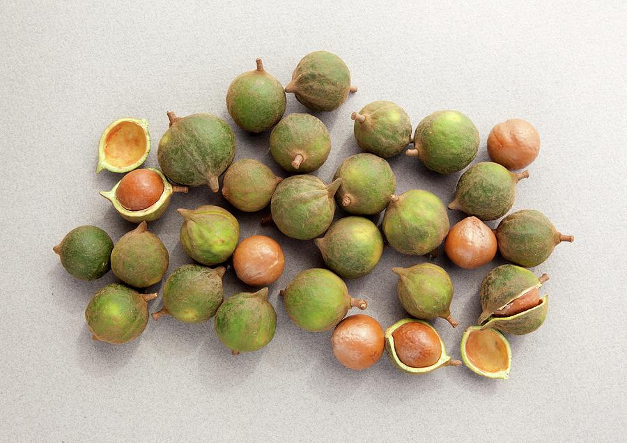 Unshelled Macadamia Nuts Seen From Above Photograph by William Boch