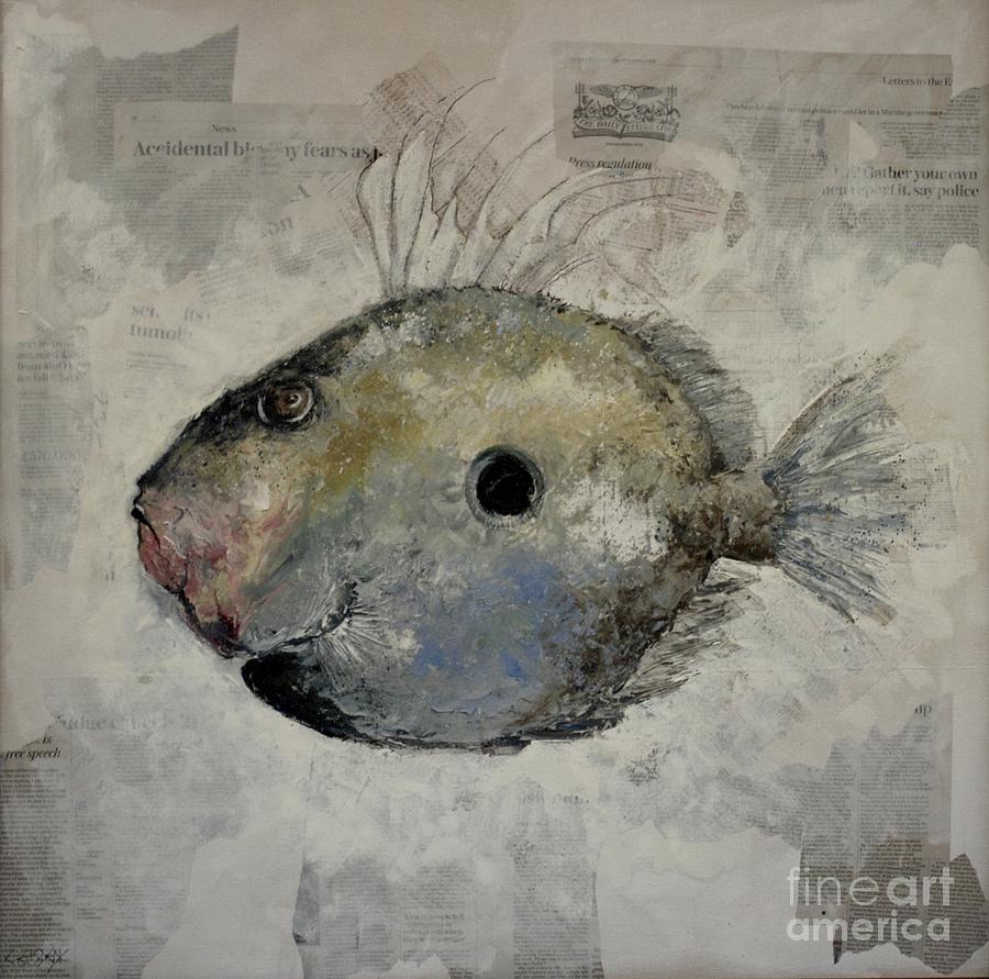 Overfishing By John Dory By Chris Elsden