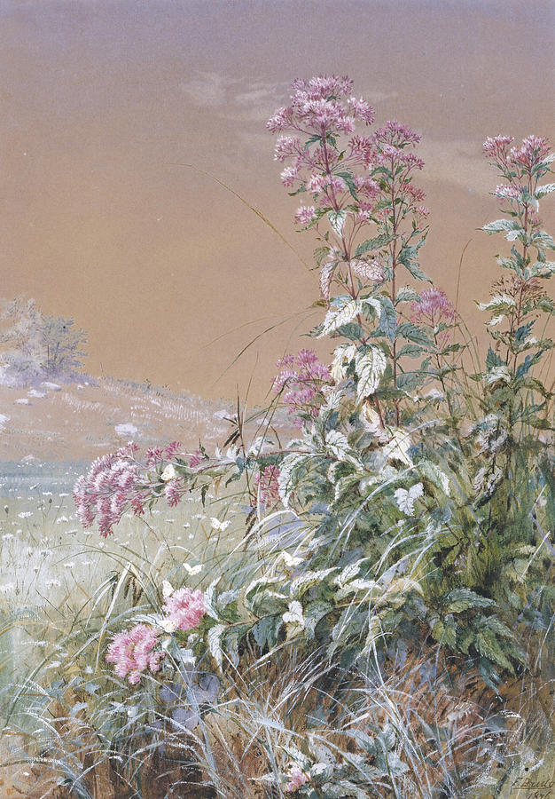 Untitled, 1876 Painting by Fidelia Bridges