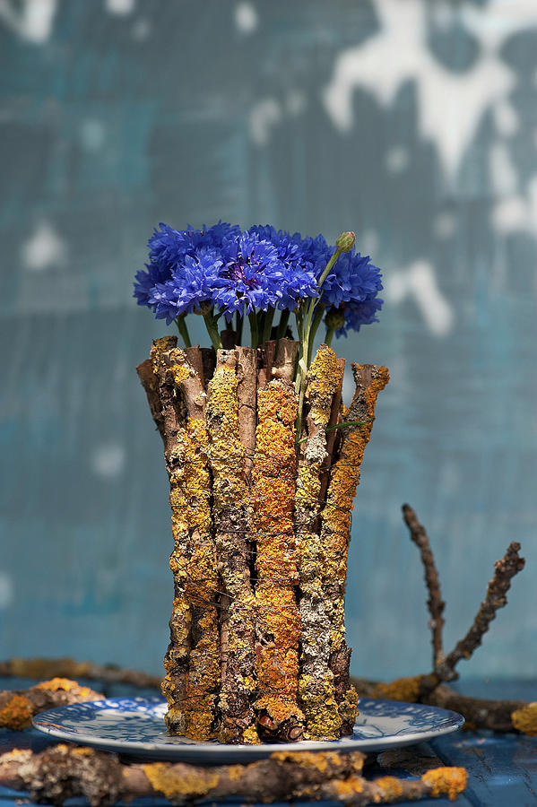 Unusual Free-standing Bouquet Of Cornflowers Surrounded By Lichen-covered Twigs Photograph by Elisabeth Berkau