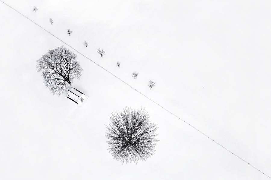 Winter Photograph - Up Above by Lucie Gagnon