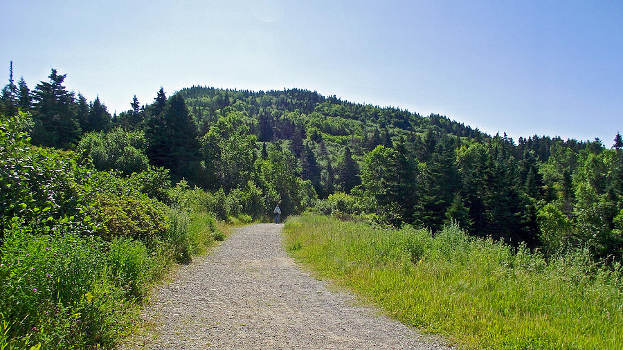 Up and Down Hills to Cap Gaspe in Forillon National Park, Quebec, Canada  Photograph by Ruth Hager