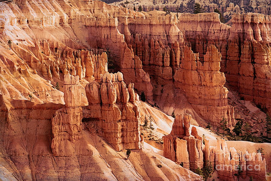 Up close Hoodoo Bryce Canyon  Photograph by Chuck Kuhn
