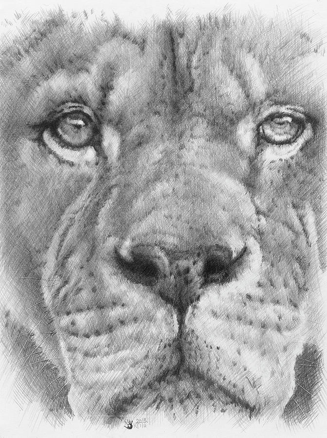 Animal Painting - Up Close Lion by Barbara Keith