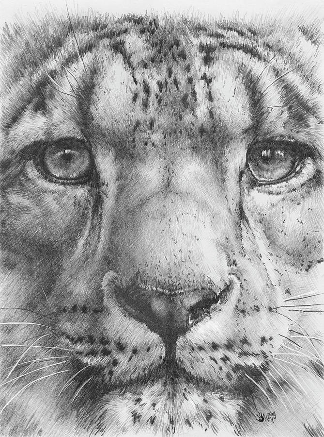 Animal Painting - Up Close Snow Leopard by Barbara Keith