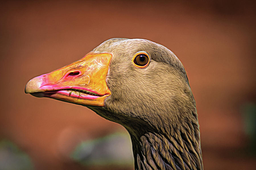 Up close with a goose Digital Art by Scott Lyons