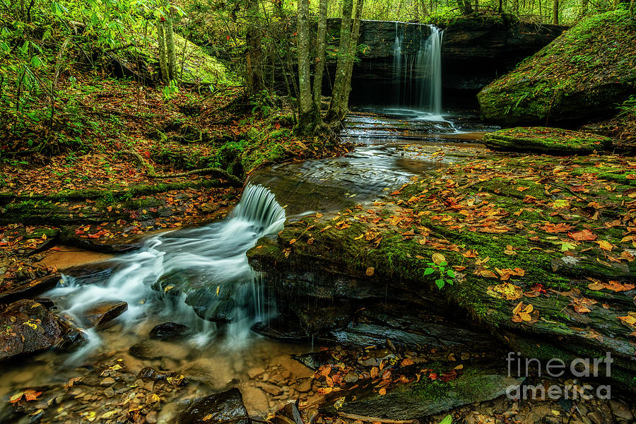 Upper Elk River Tributary Waterfall  Photograph by Thomas R Fletcher