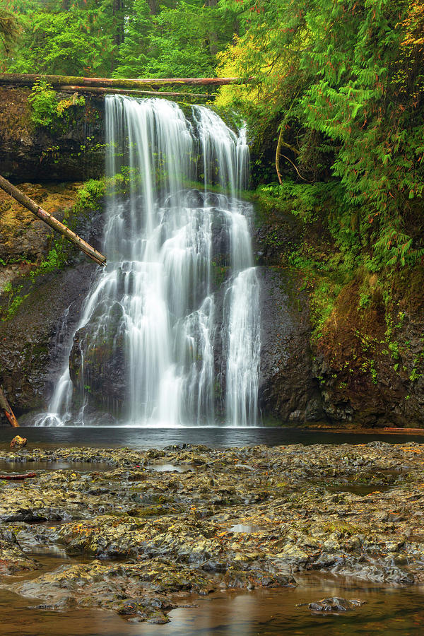 Upper North Falls, Oregon Photograph by Aashish Vaidya