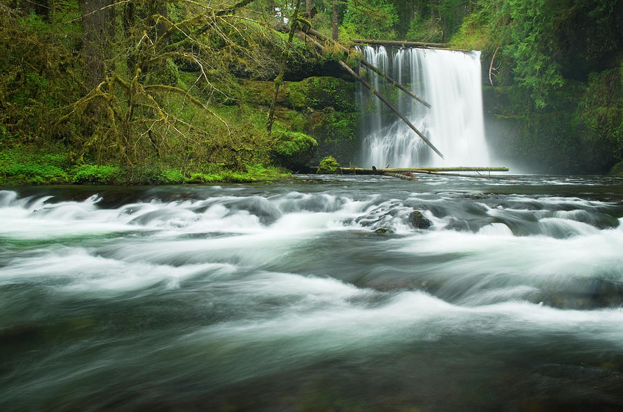 Upper North Falls, Silver Falls State Photograph by Alan Majchrowicz