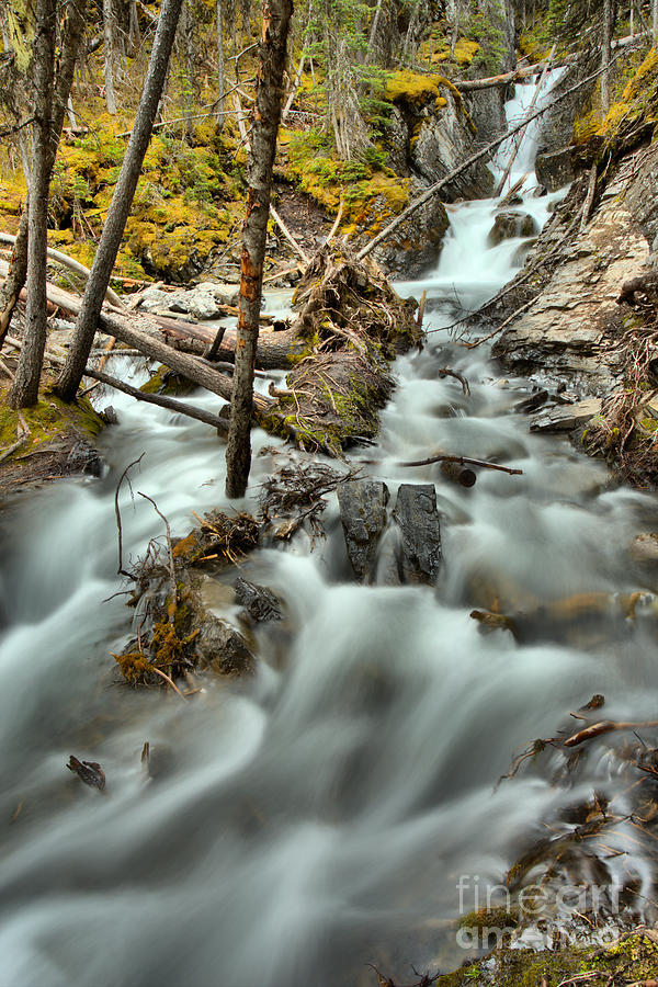 Upper Sarrail Falls Photograph by Adam Jewell