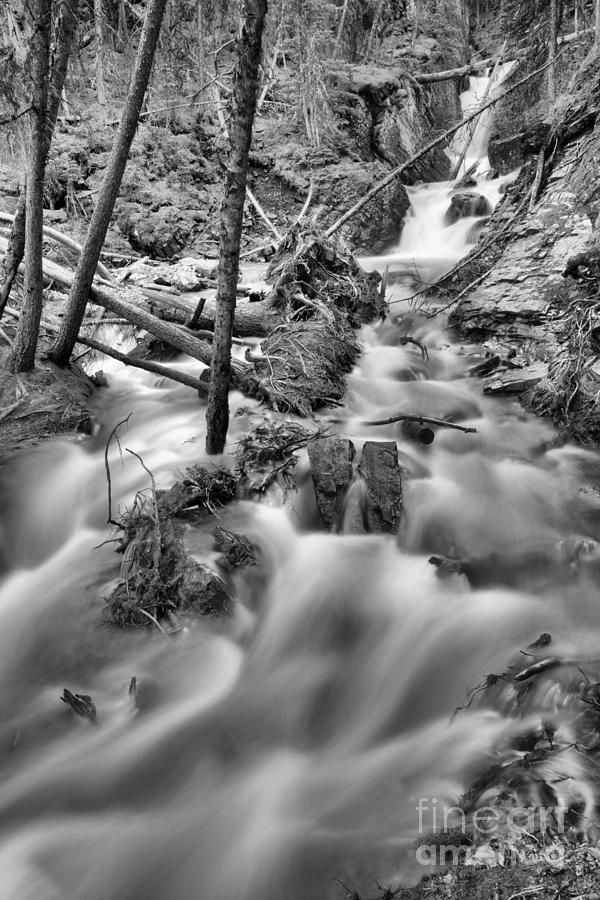 Upper Sarrail Falls Black And White Photograph by Adam Jewell