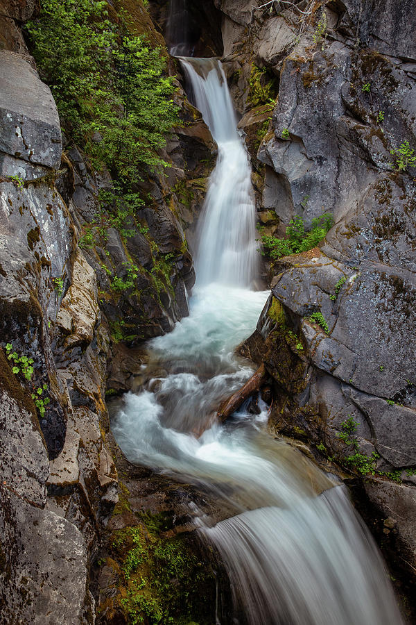 Upper tier of Christine Falls mount Rainier Photograph by Alex Mironyuk