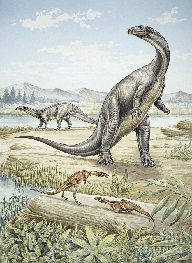 early triassic dinosaurs