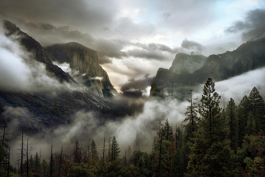 Yosemite National Park Photograph - Upper Valley Morning by Gary Perlow
