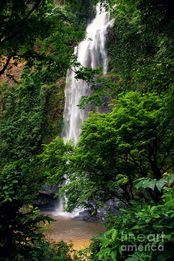 Upper Wli Waterfall Ghana Volta Region Photograph by Tg23