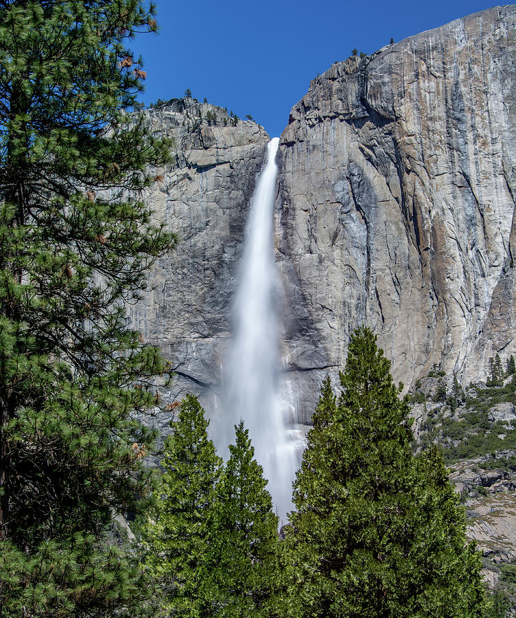 Upper Yosemite Falls Photograph by Marcy Wielfaert