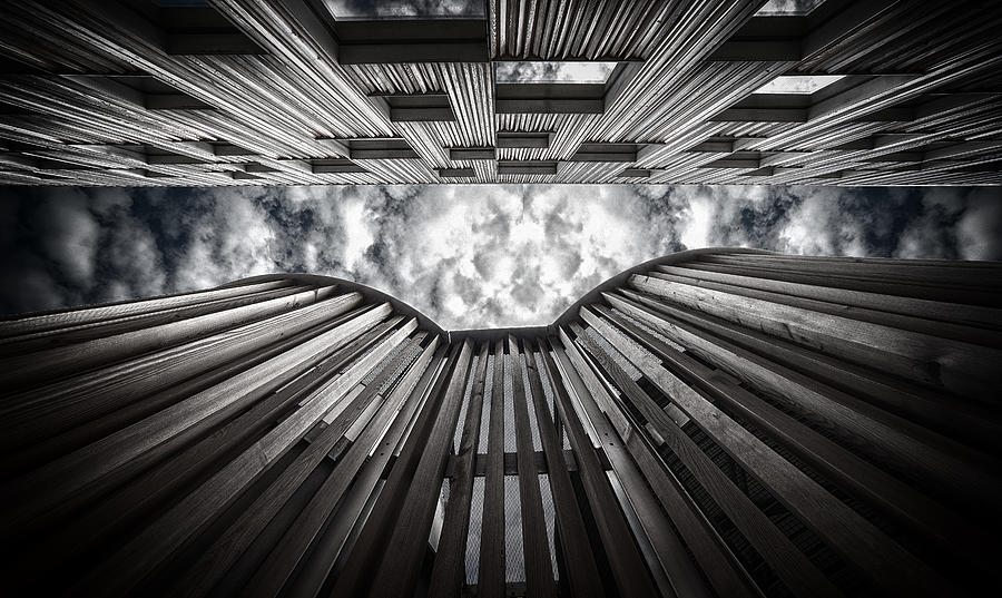 Upward Photograph by Anders Samuelsson