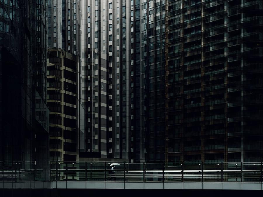 Urban Forest Photograph by Yasuhiro Takachi - Fine Art America