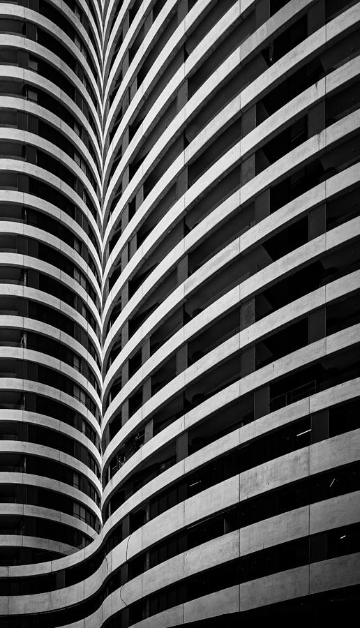 Urban Zebra Photograph by Aryeh Wiseglass - Pixels