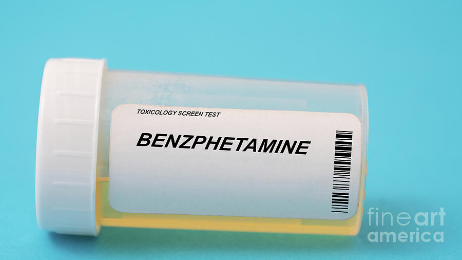 Urine Test For Benzphetamine Photograph by Wladimir Bulgar/science Photo Library