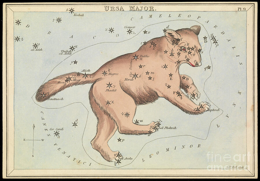 Ursa Major, Circa 1825 Card, Paper, Tissue Mixed Media by Sydney Hall