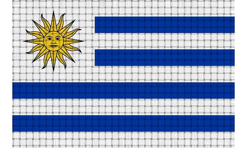 Uruguay Flag Painting by Jaime Enriquez - Fine Art America