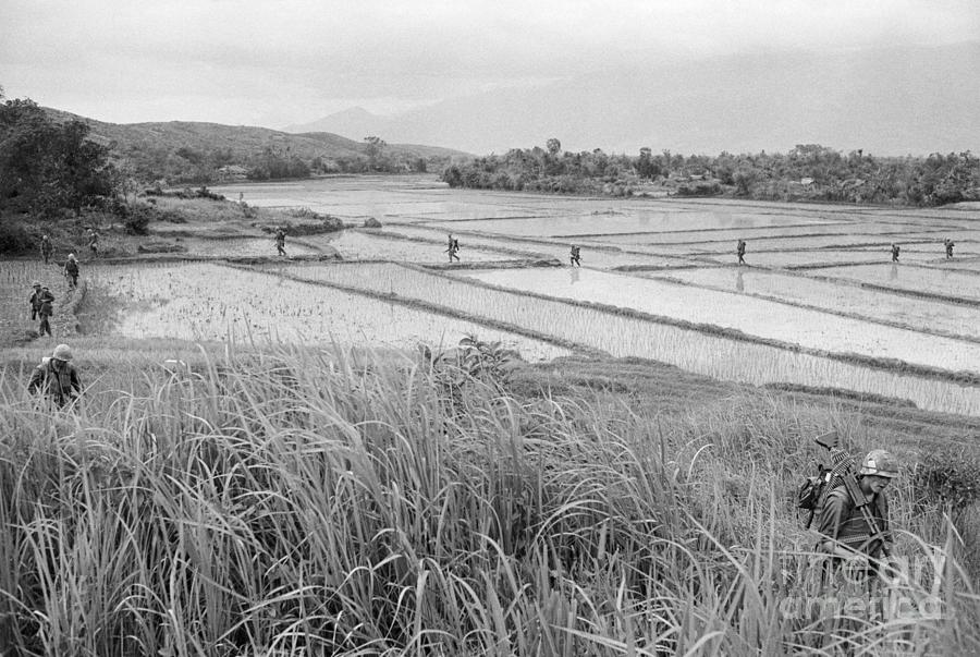Us Marines Crossing Rice Paddy Photograph by Bettmann