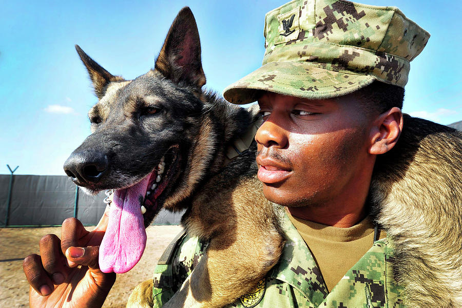 U.s. Navy Master-at-arms Takes A Moment Photograph by Stocktrek Images