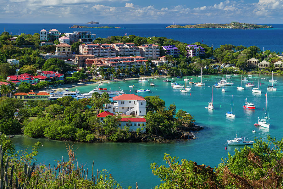 Us Virgin Islands, St John Cruz Bay Photograph by Walter Bibikow