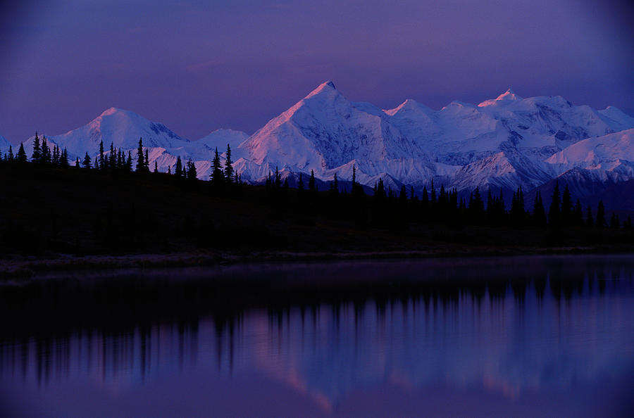 Usa, Alaska, Denali National Park Photograph by Art Wolfe